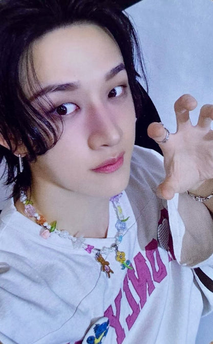STRAY KIDS – DOMINATE CELEBRATE POP-UP MD ONLINE POB Photocard Ufficiale | Collezionabile K-Pop