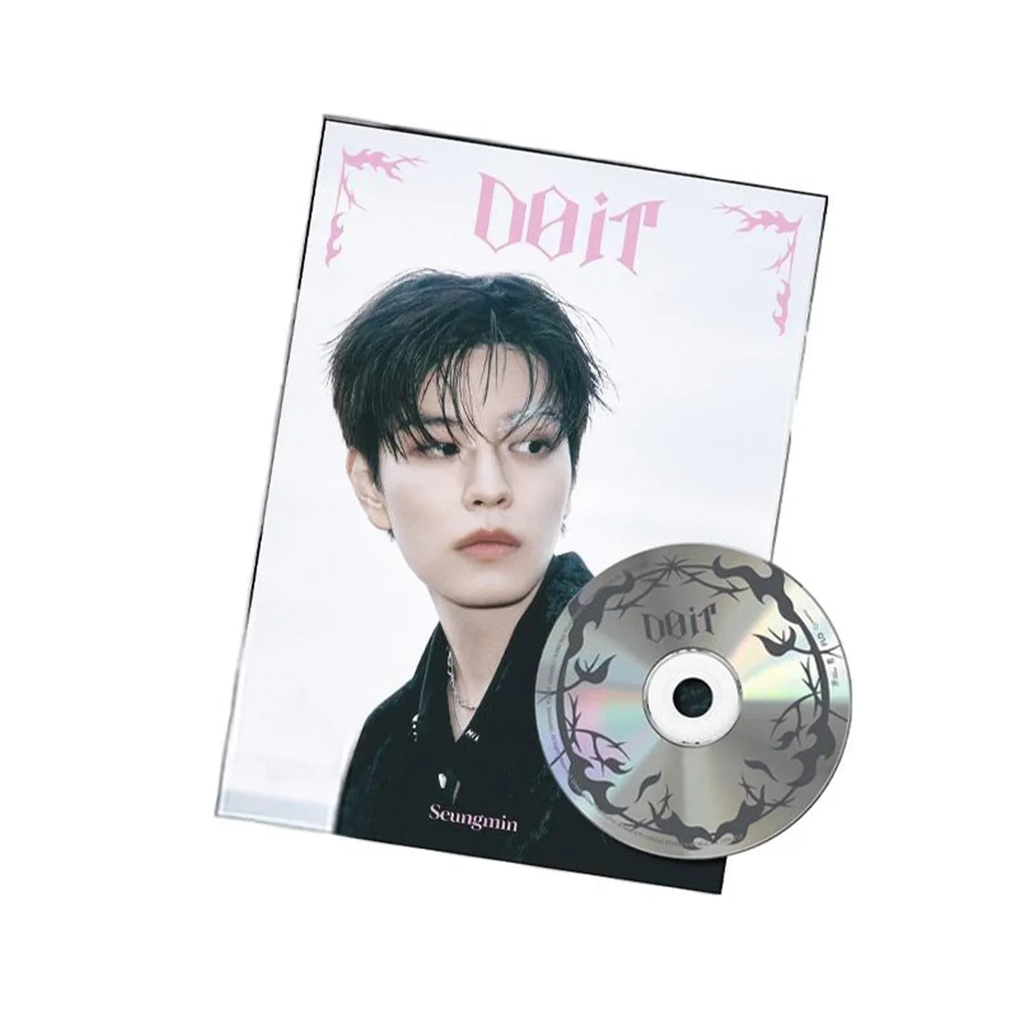 Album Accordion da collezione – Stray Kids Do It (Accordion Ver.)