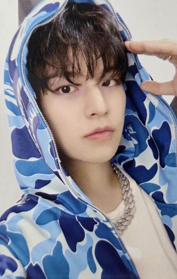STRAY KIDS – DOMINATE CELEBRATE POP-UP MD ONLINE POB Photocard Ufficiale | Collezionabile K-Pop