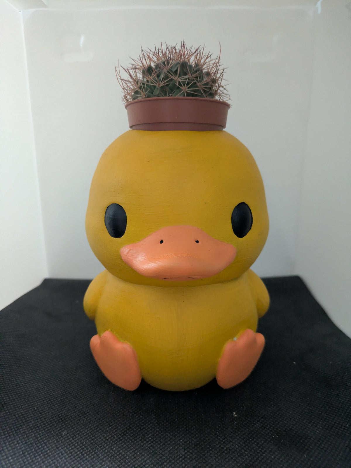 Anatra Plant Friends Porta piante per succulente e mini piante – vista frontale