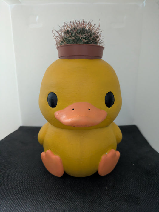 Anatra Plant Friends Porta piante per succulente e mini piante – vista frontale