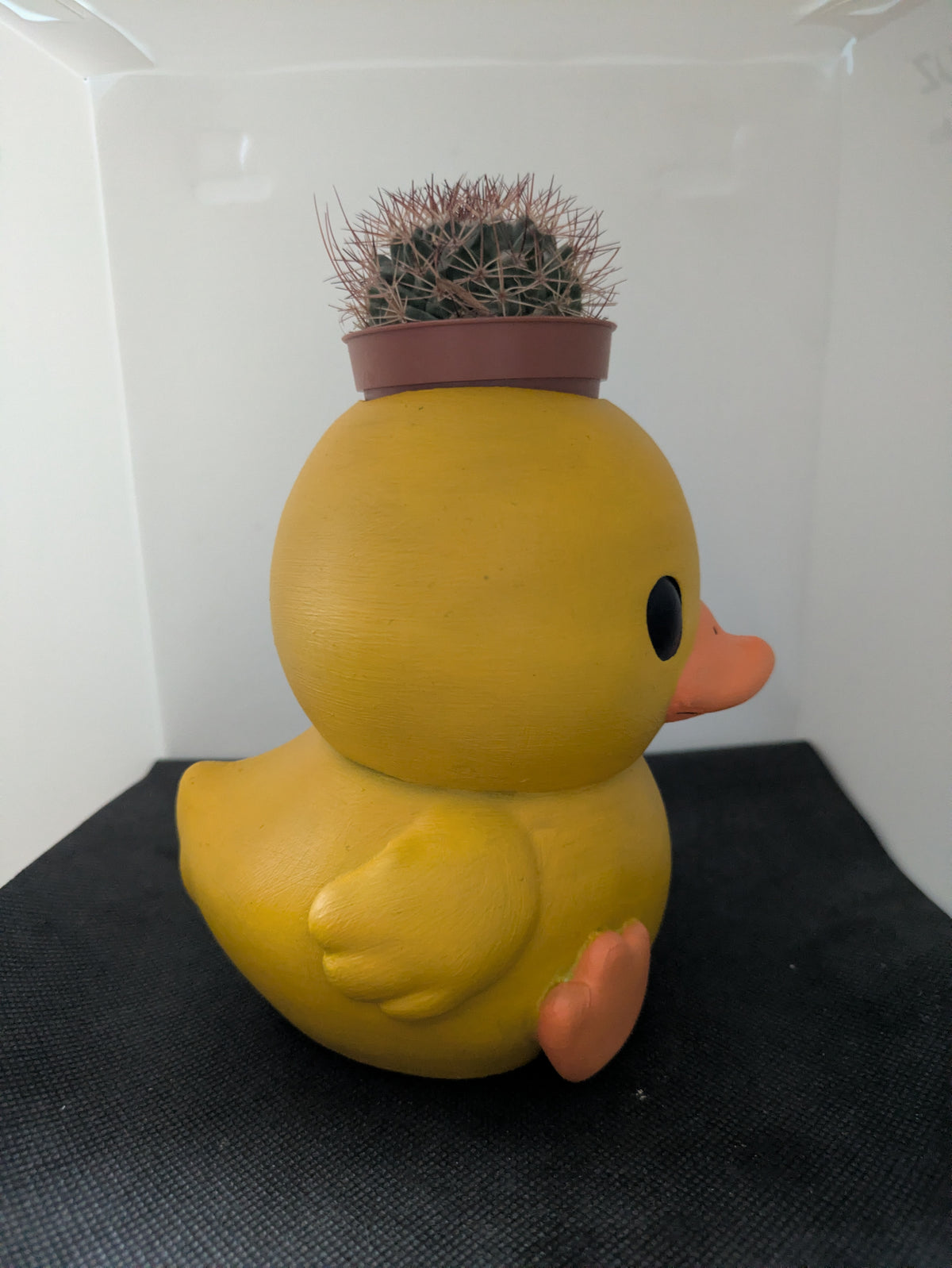 Anatra Plant Friends coprivaso per succulente e mini piante – vista laterale destra