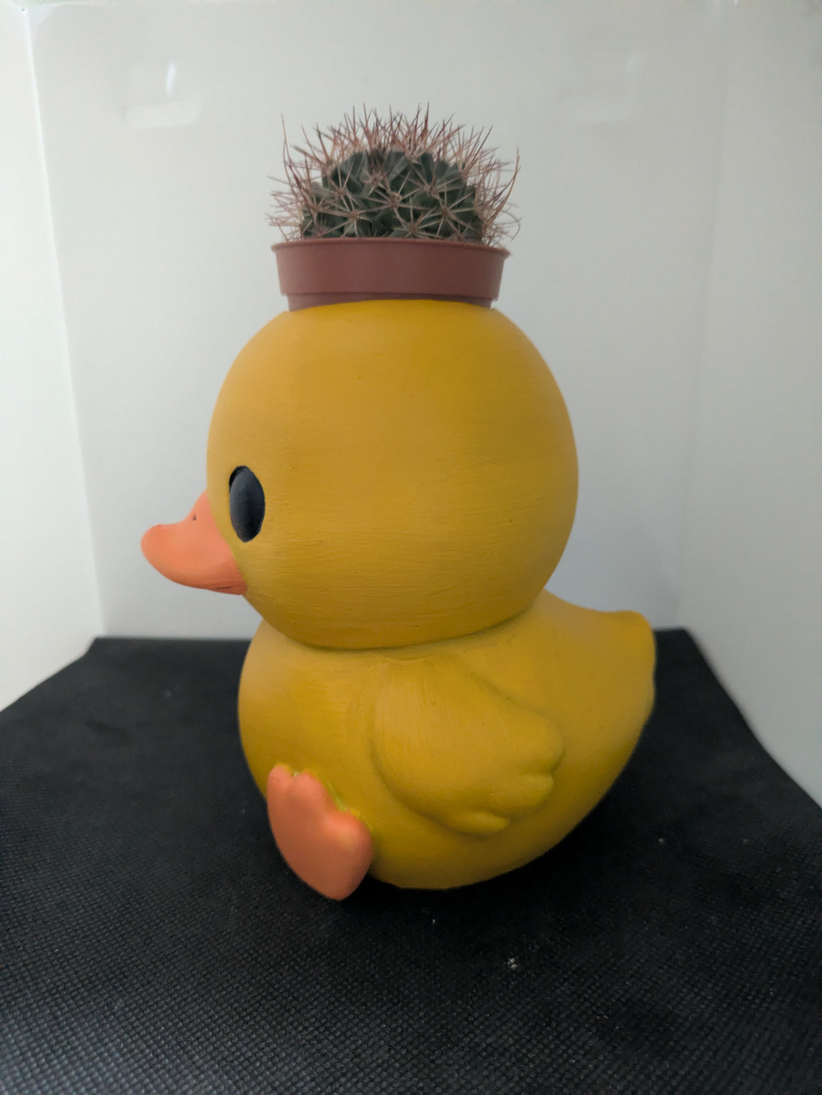 Anatra Plant Friends coprivaso per succulente e mini piante – vista laterale sinistra