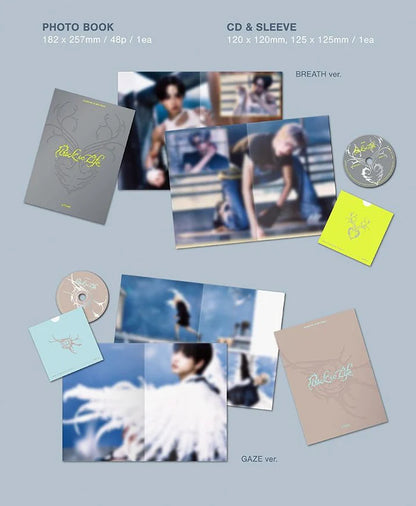 Photobook e CD & Slevee dell'album BACK TO LIFE degli &TEAM nelle versioni disponibili