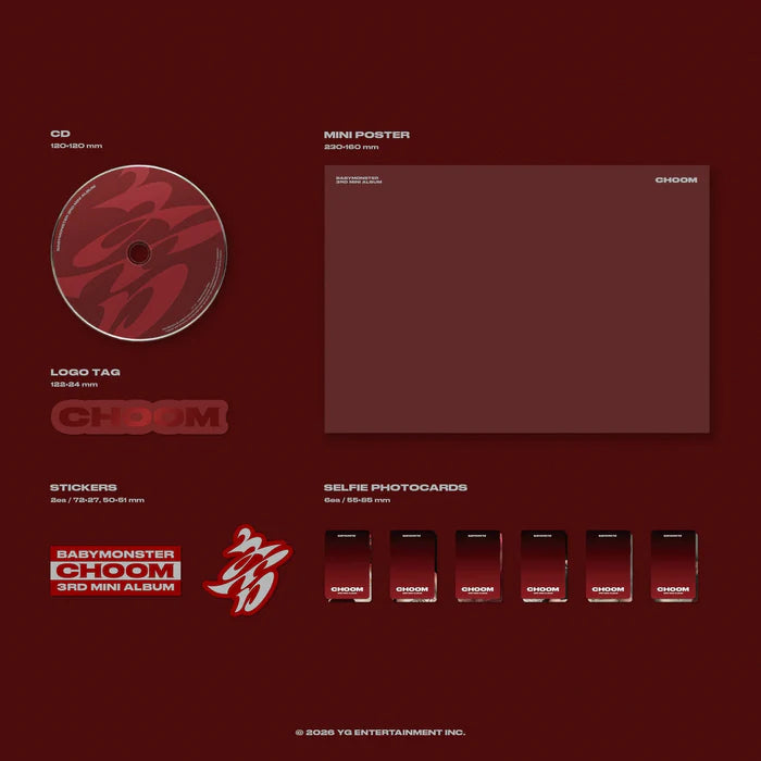 Collectible Album – Stray Kids MAXIDENT