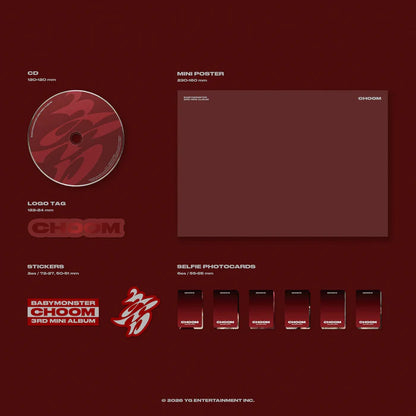 Collectible Album – Stray Kids MAXIDENT