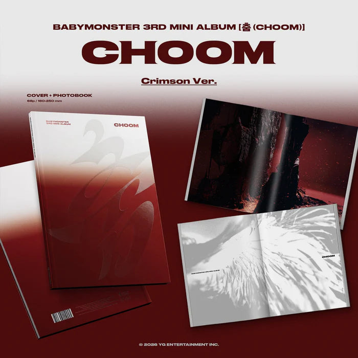 Collectible Album – Stray Kids MAXIDENT