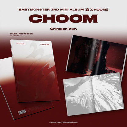 Collectible Album – Stray Kids MAXIDENT