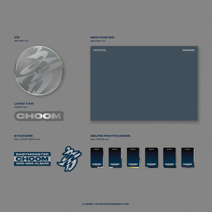 Collectible Album – Stray Kids MAXIDENT