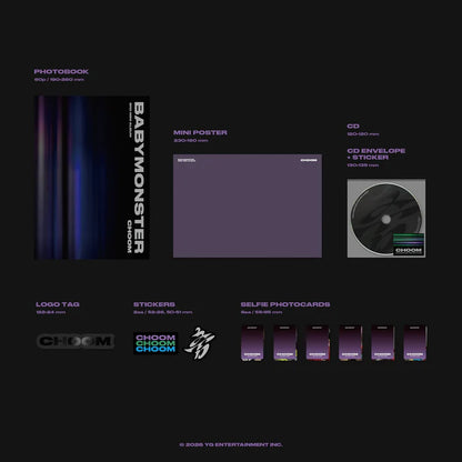 Collectible Album – Stray Kids MAXIDENT
