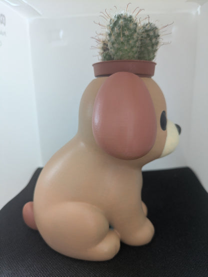 Cane Plant Friends coprivaso per succulente e mini piante – vista laterale destra