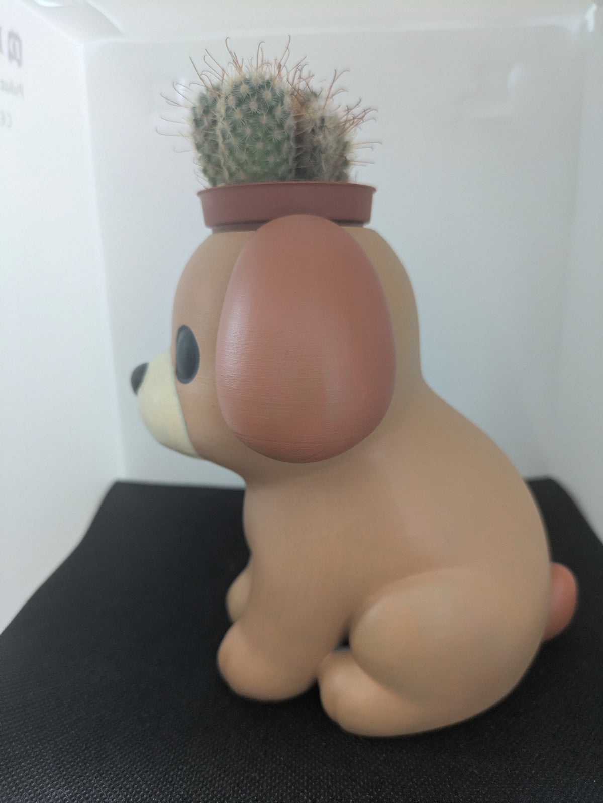Cane Plant Friends coprivaso per succulente e mini piante – vista laterale sinistra