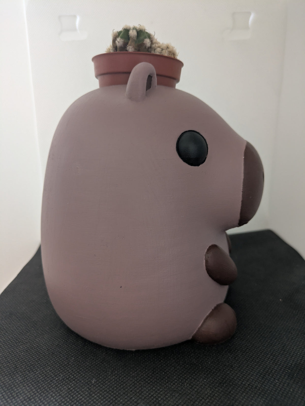 Capibara Plant Friends Porta piante per succulente e mini piante – vista laterale destra