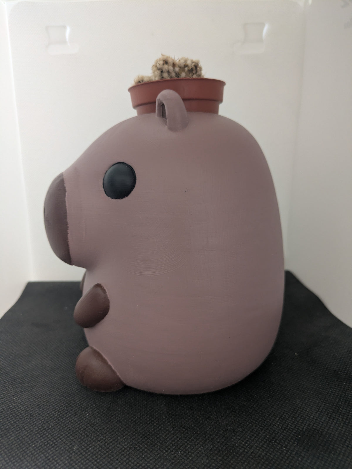 Capibara Plant Friends Porta piante per succulente e mini piante – vista laterale sinistra