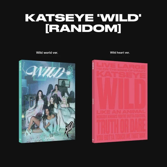 Collectible Album – Stray Kids MAXIDENT
