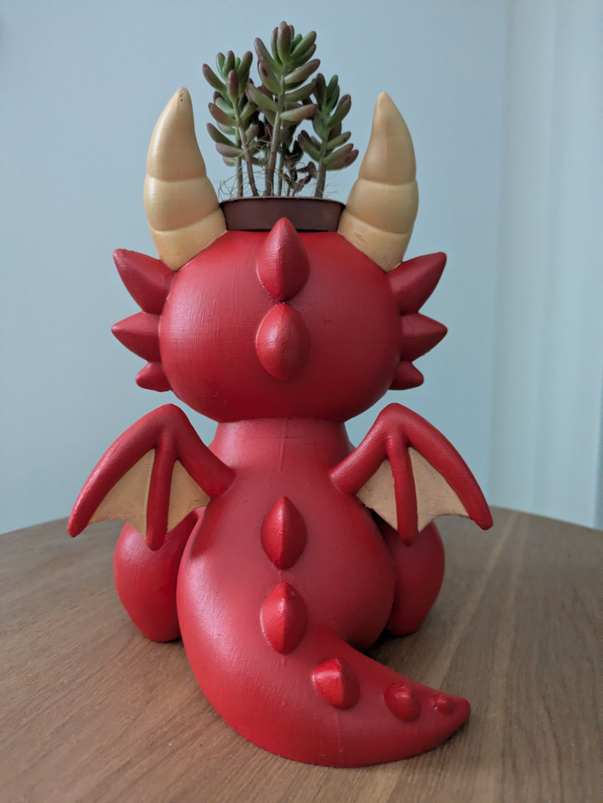 Drago Plant Friends Porta piante per succulente e mini piante – vista posteriore