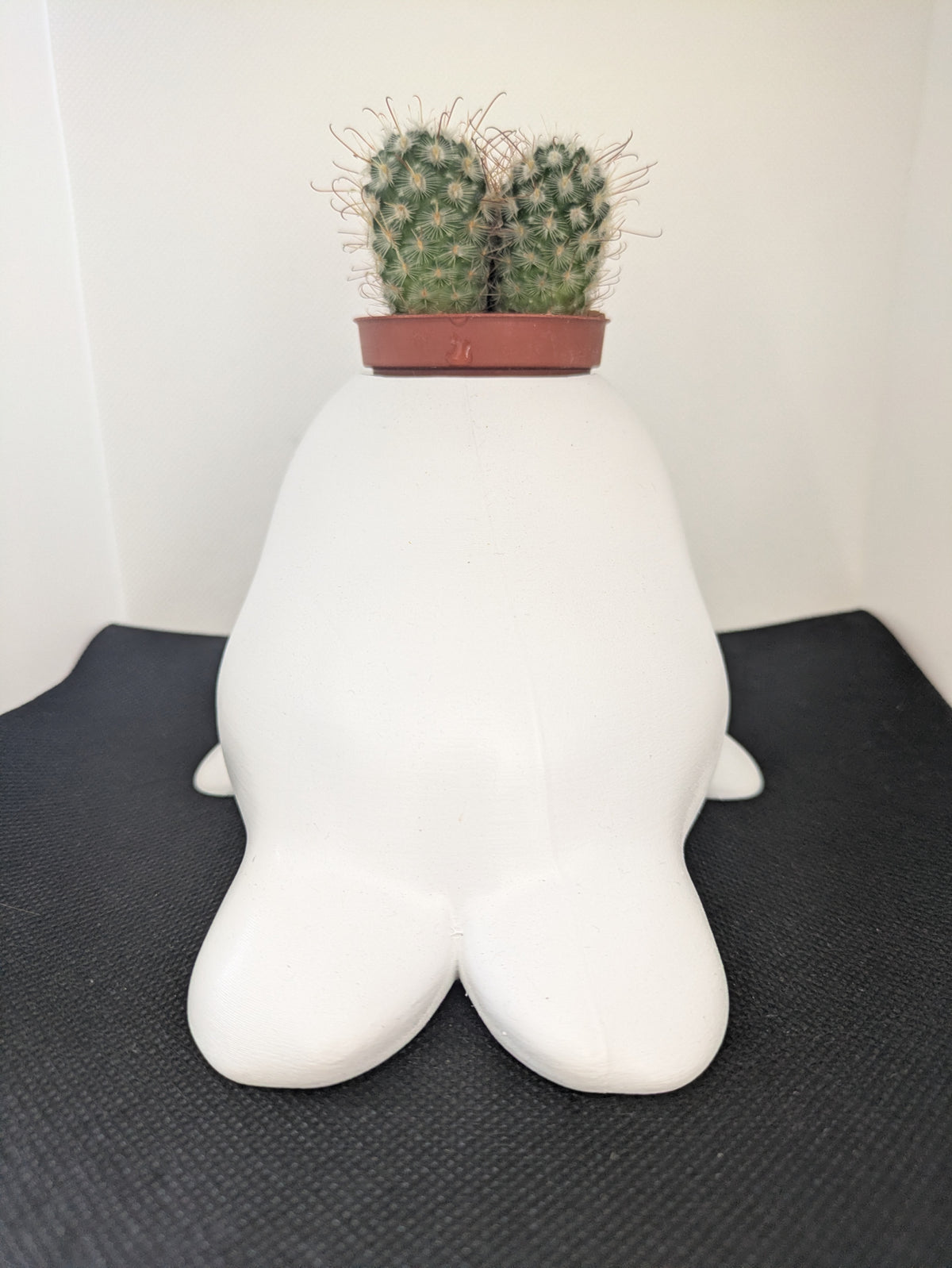 Foca Plant Friends Porta piante per succulente e mini piante – vista posteriore