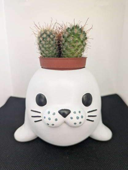 Foca Plant Friends Porta piante per succulente e mini piante – vista frontale