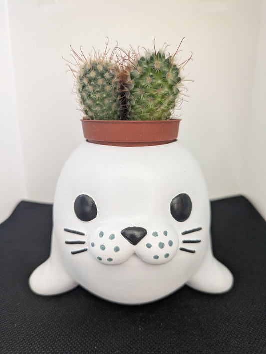 Foca Plant Friends Porta piante per succulente e mini piante – vista frontale