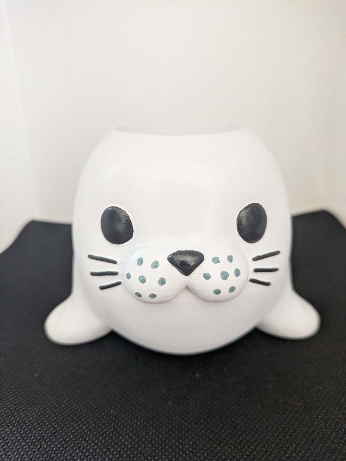 Foca Plant Friends Porta piante per succulente e mini piante – vista frontale no vaso