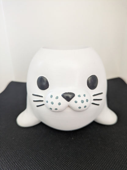 Foca Plant Friends Porta piante per succulente e mini piante – vista frontale no vaso
