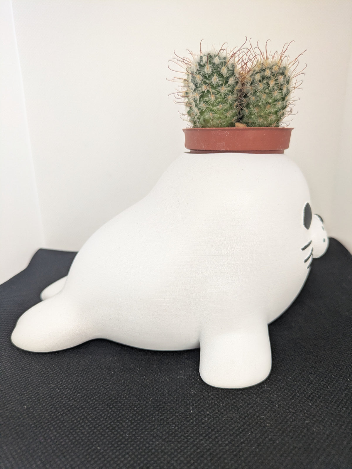 Foca Plant Friends coprivaso per succulente e mini piante – vista laterale destra