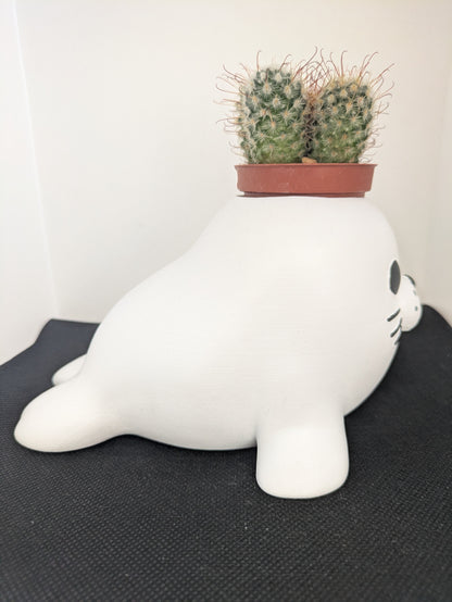 Foca Plant Friends coprivaso per succulente e mini piante – vista laterale destra