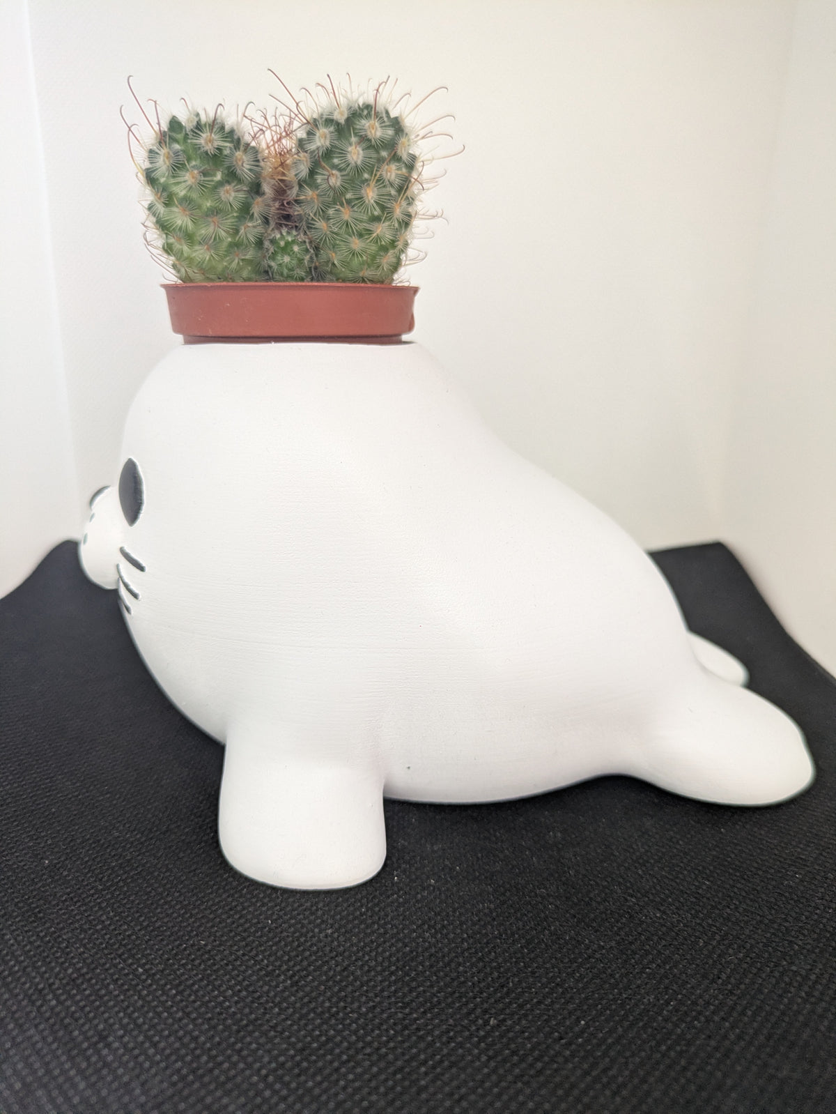 Foca Plant Friends Porta piante per succulente e mini piante – vista laterale sinistra