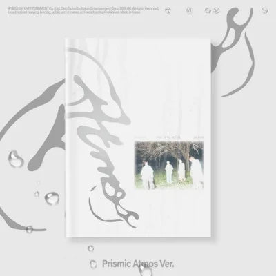 Collectible Album – Stray Kids MAXIDENT