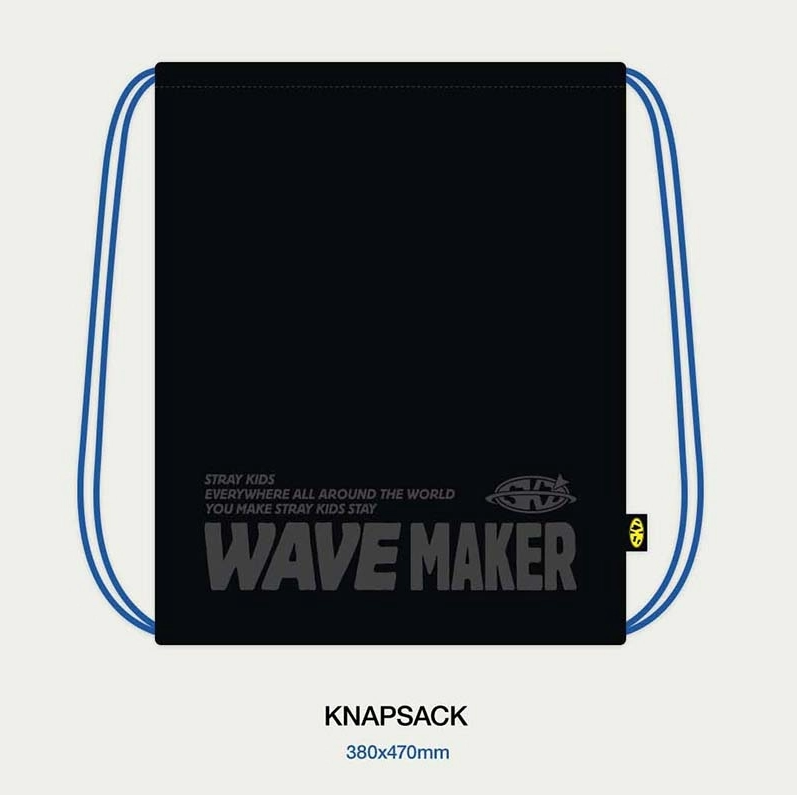 Collectible Album – Stray Kids MAXIDENT