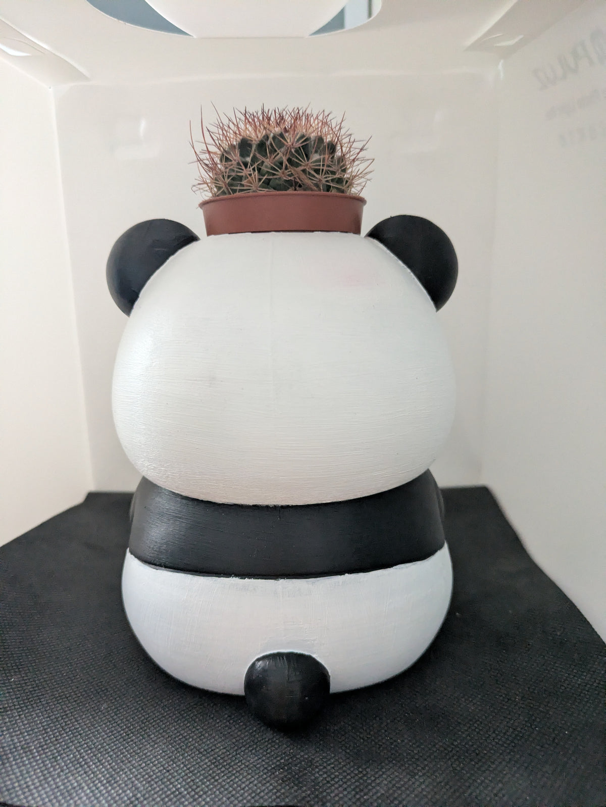 Panda Plant Friends Porta piante per succulente e mini piante – vista posteriore