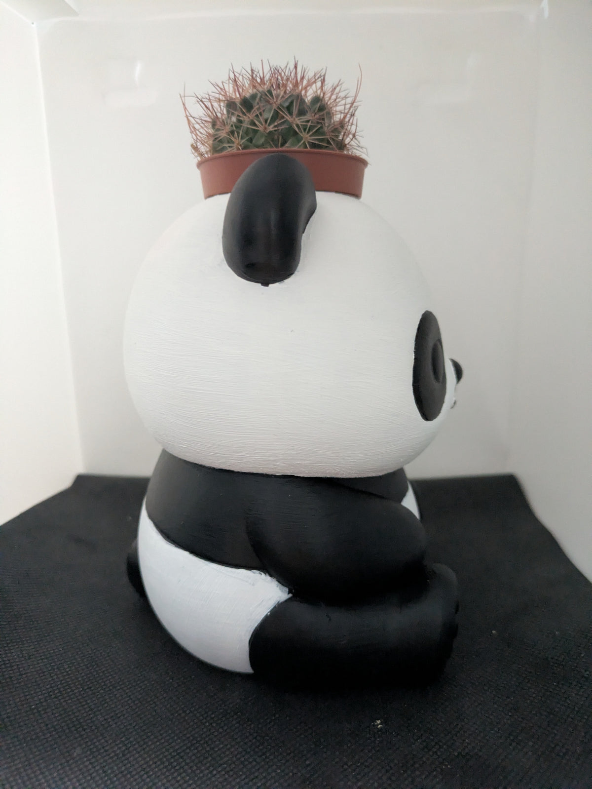 Panda Plant Friends coprivaso per succulente e mini piante – vista laterale destra