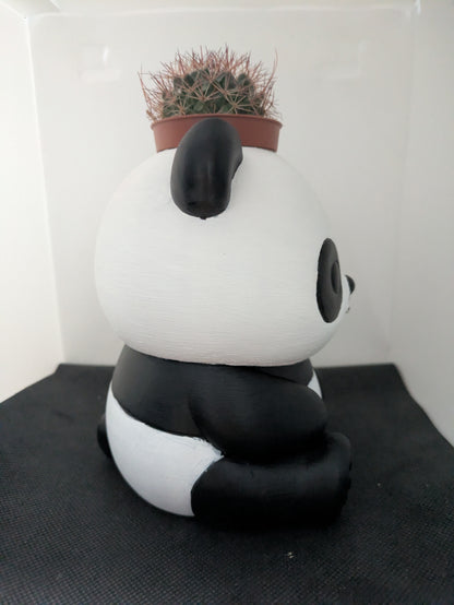 Panda Plant Friends coprivaso per succulente e mini piante – vista laterale destra