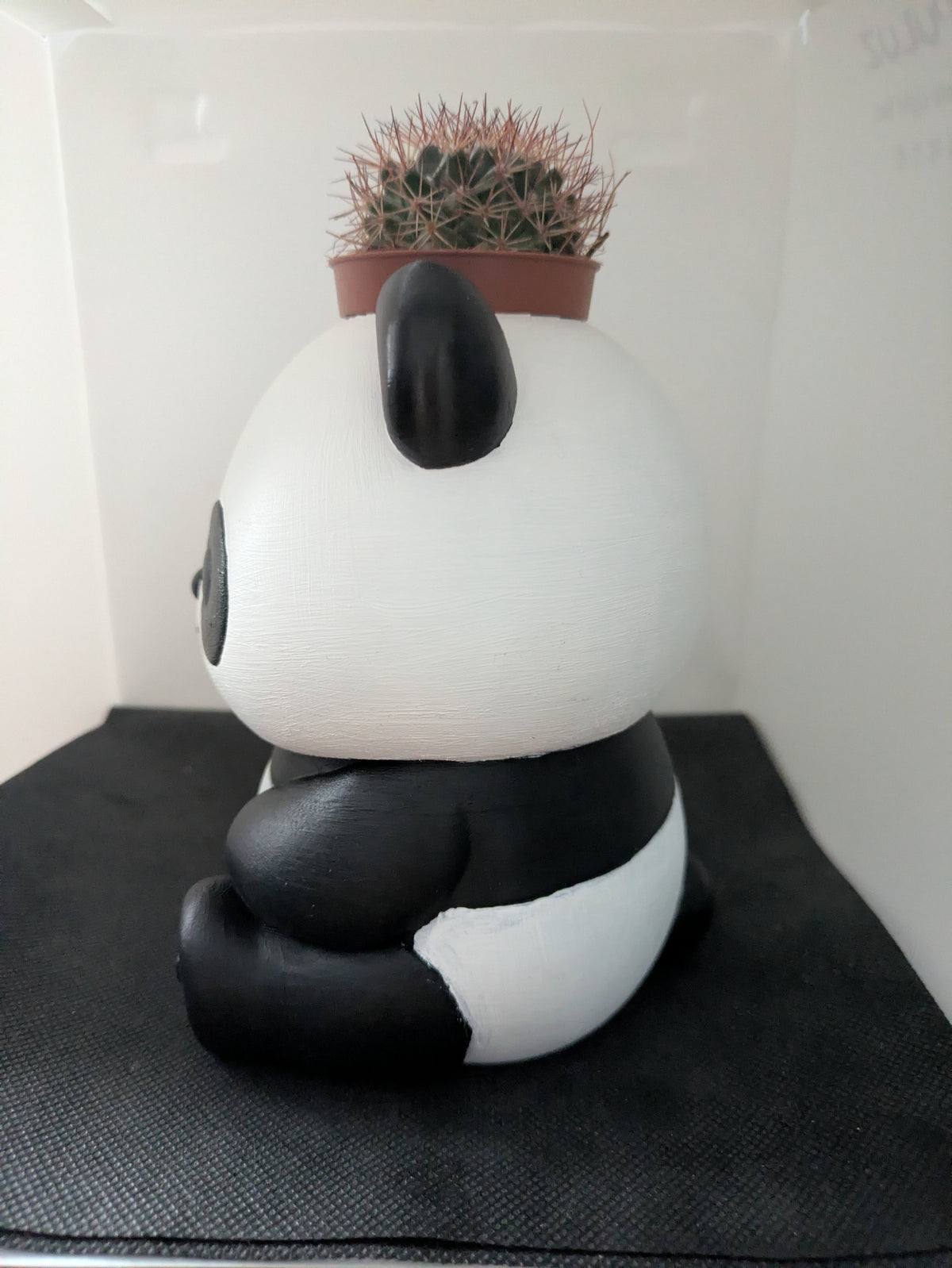 Panda Plant Friends coprivaso per succulente e mini piante – vista laterale sinistra