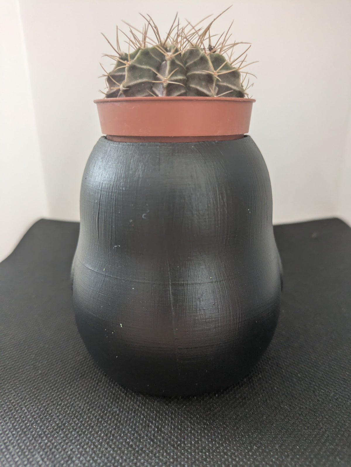 Pinguino Plant Friends Porta piante per succulente e mini piante – vista posteriore