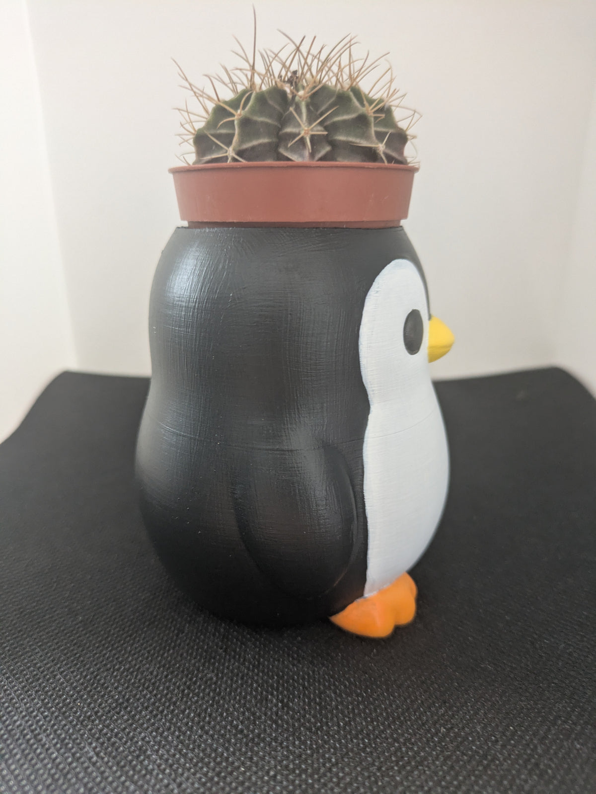 Pinguino Plant Friends coprivaso per succulente e mini piante – vista laterale destra