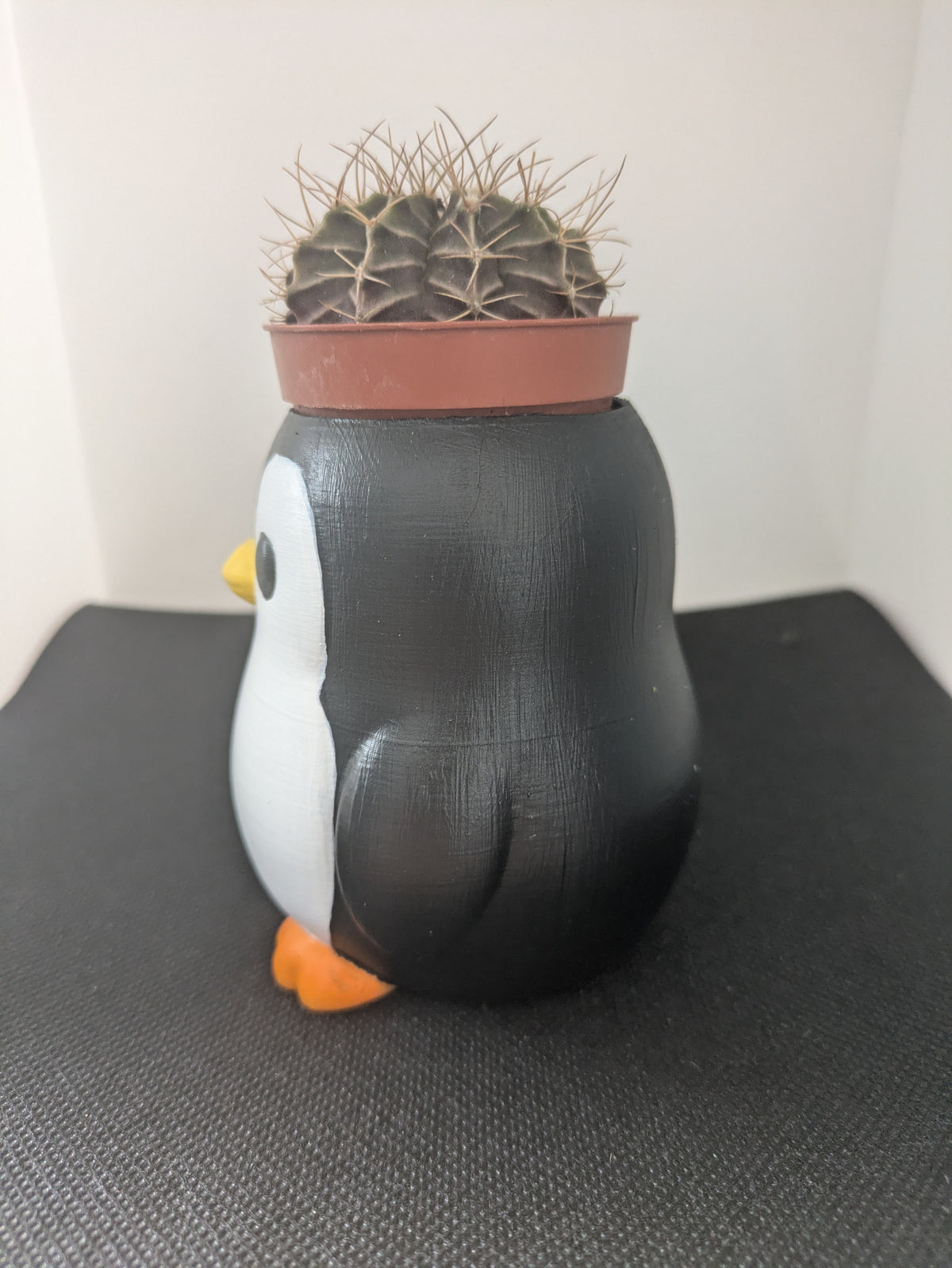 Pinguino Plant Friends coprivaso per succulente e mini piante – vista laterale sinistra