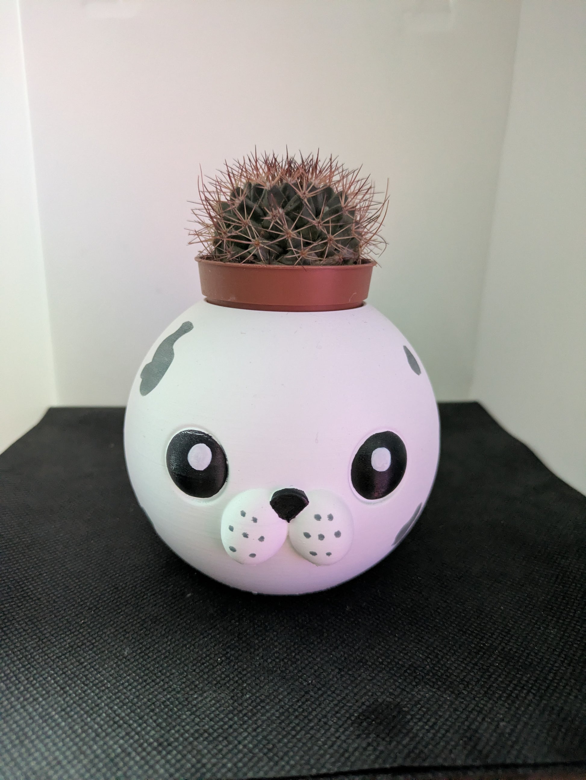 Plant Friends Foca porta piante vista frontale