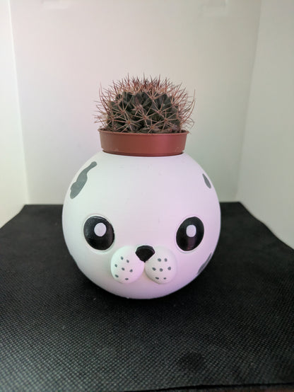 Plant Friends Foca porta piante vista frontale