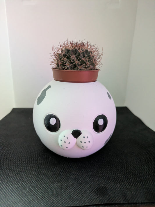 Plant Friends Foca porta piante vista frontale