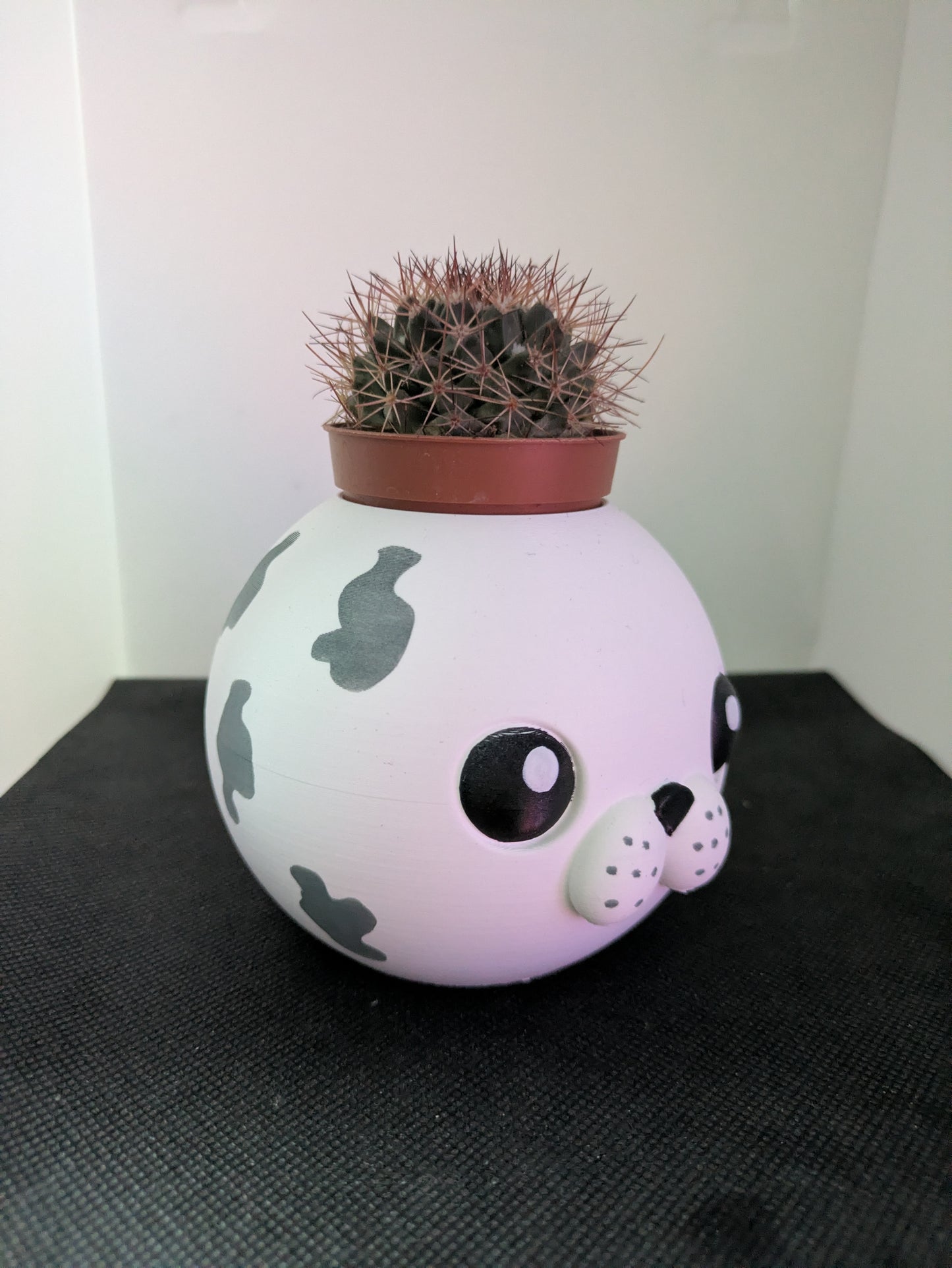 Plant Friends Foca porta piante vista laterale B
