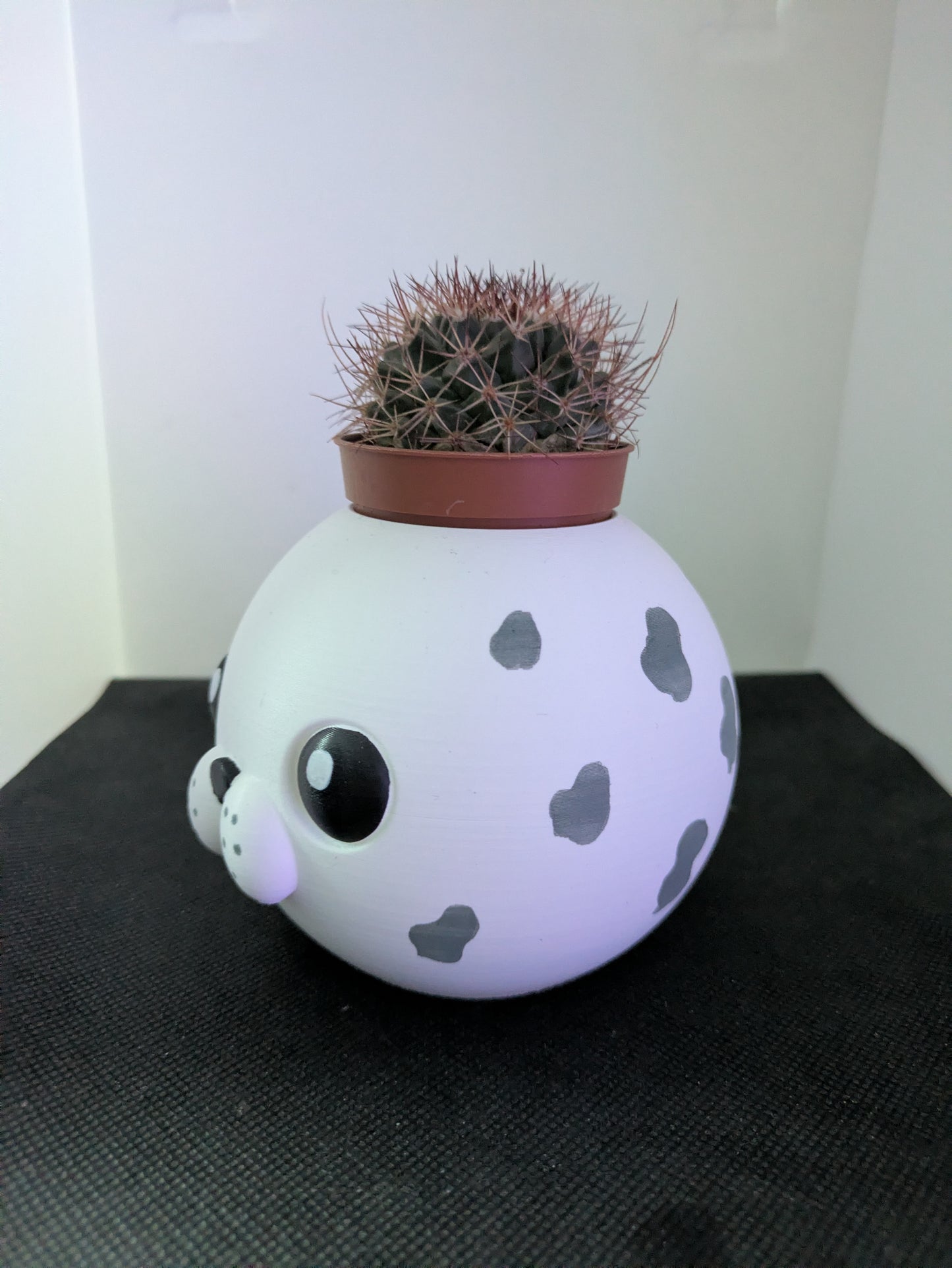 Plant Friends Foca porta piante vista laterale