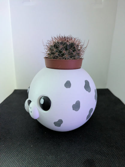 Plant Friends Foca porta piante vista laterale