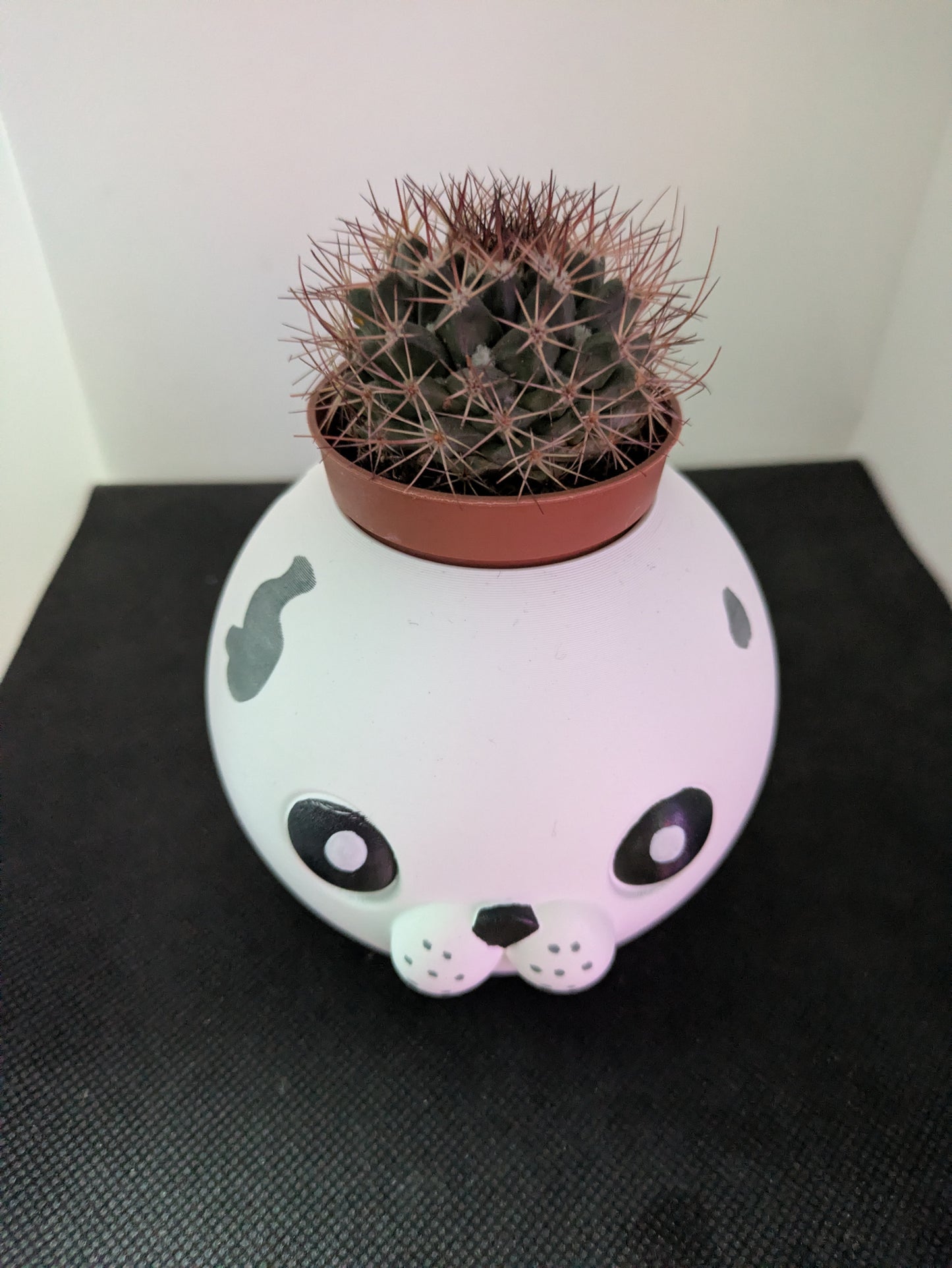 Plant Friends Foca porta piante vista dall'alto