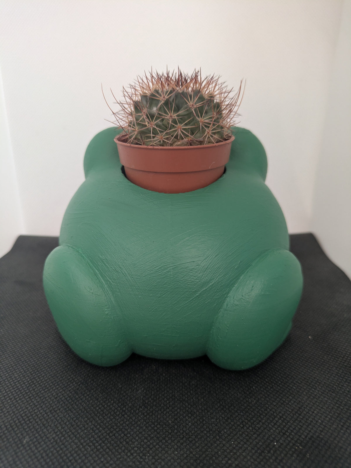 Rana Plant Friends Porta piante per succulente e mini piante – vista posteriore