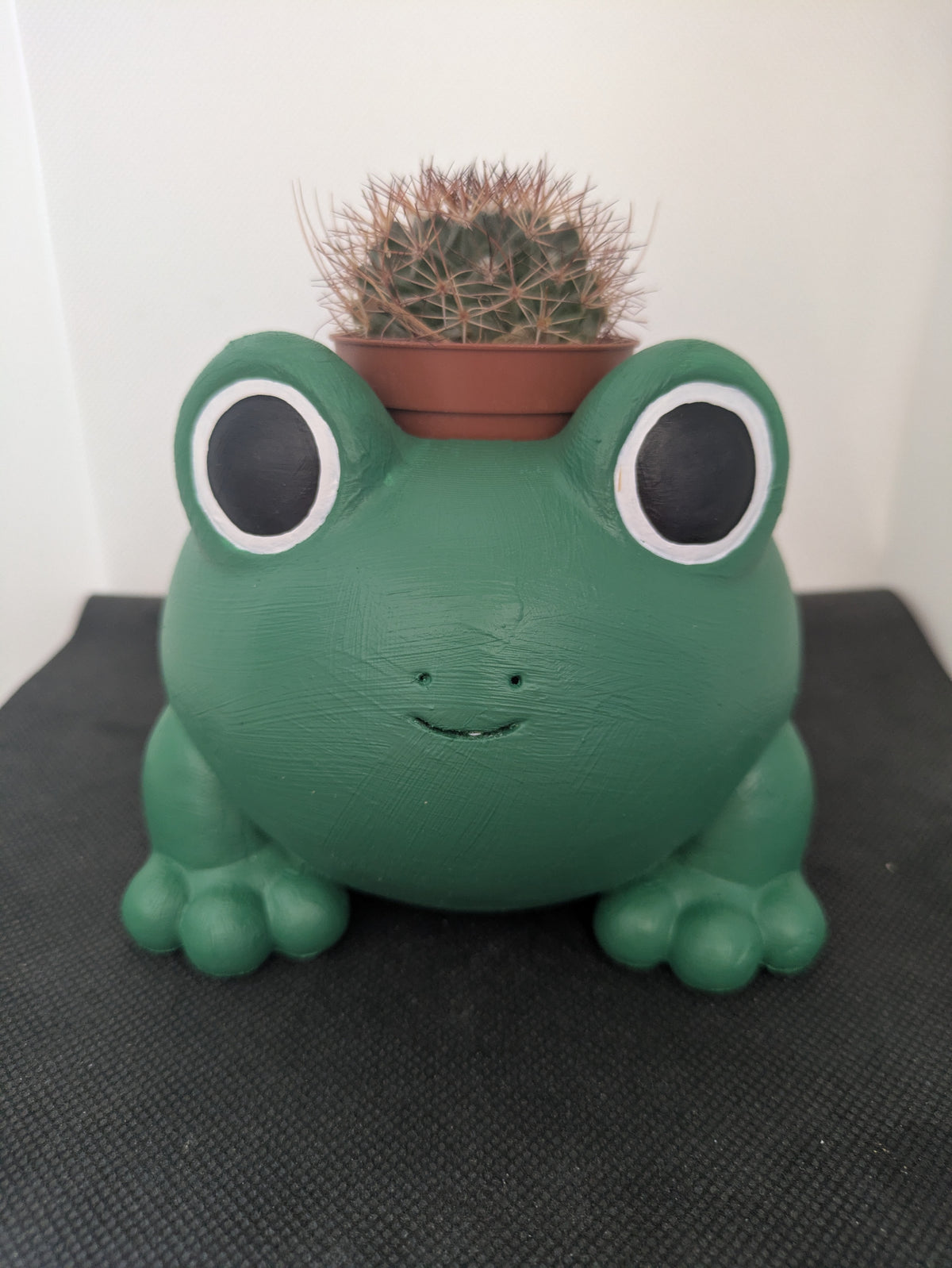 Rana Plant Friends Porta piante per succulente e mini piante – vista frontale 