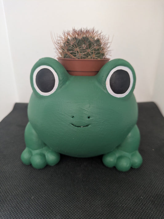 Rana Plant Friends Porta piante per succulente e mini piante – vista frontale 