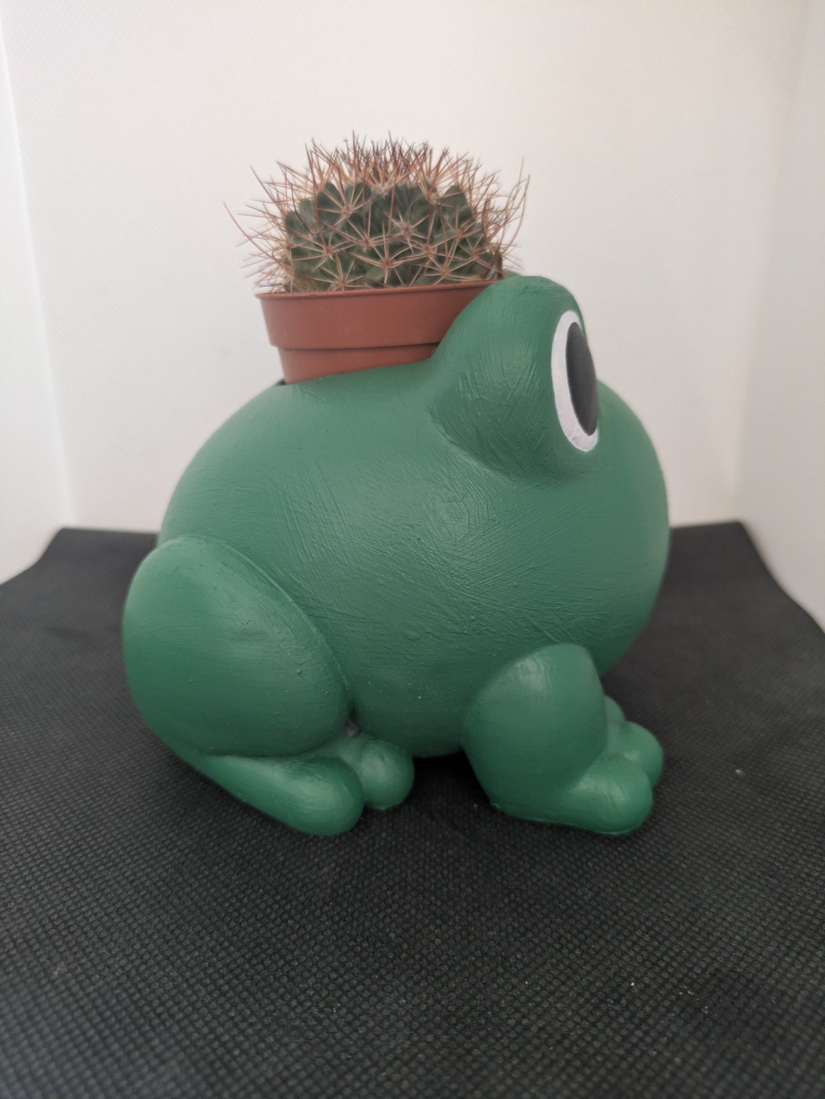 Rana Plant Friends Porta piante per succulente e mini piante – vista laterale destra