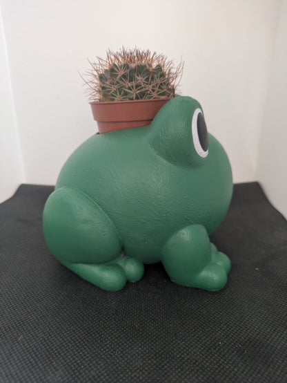 Rana Plant Friends Porta piante per succulente e mini piante – vista laterale destra