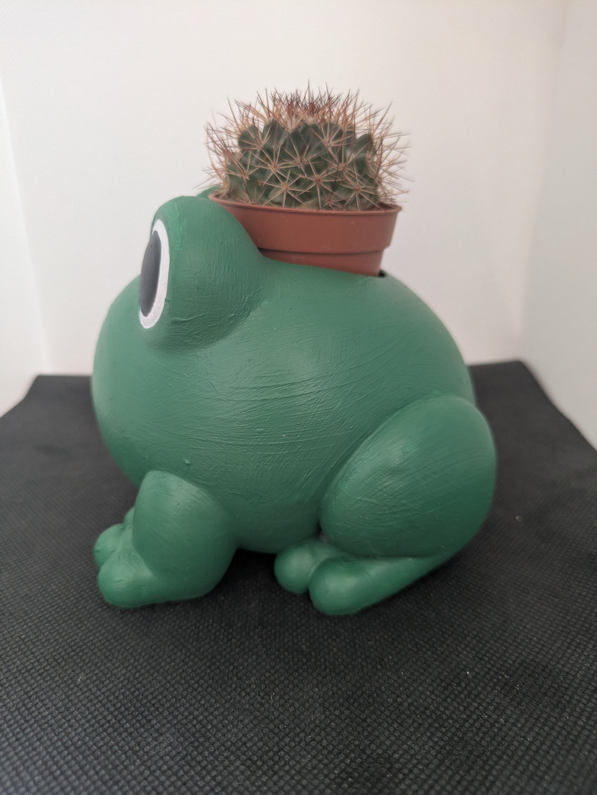 Rana Plant Friends Porta piante per succulente e mini piante – vista laterale sinistra